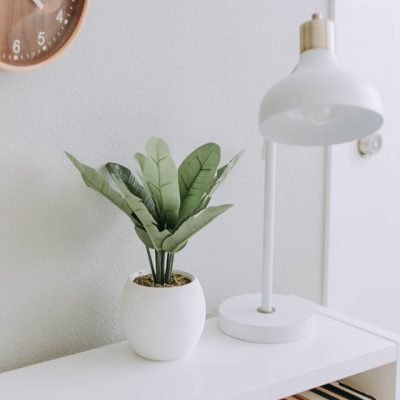 white-wall Room and table design